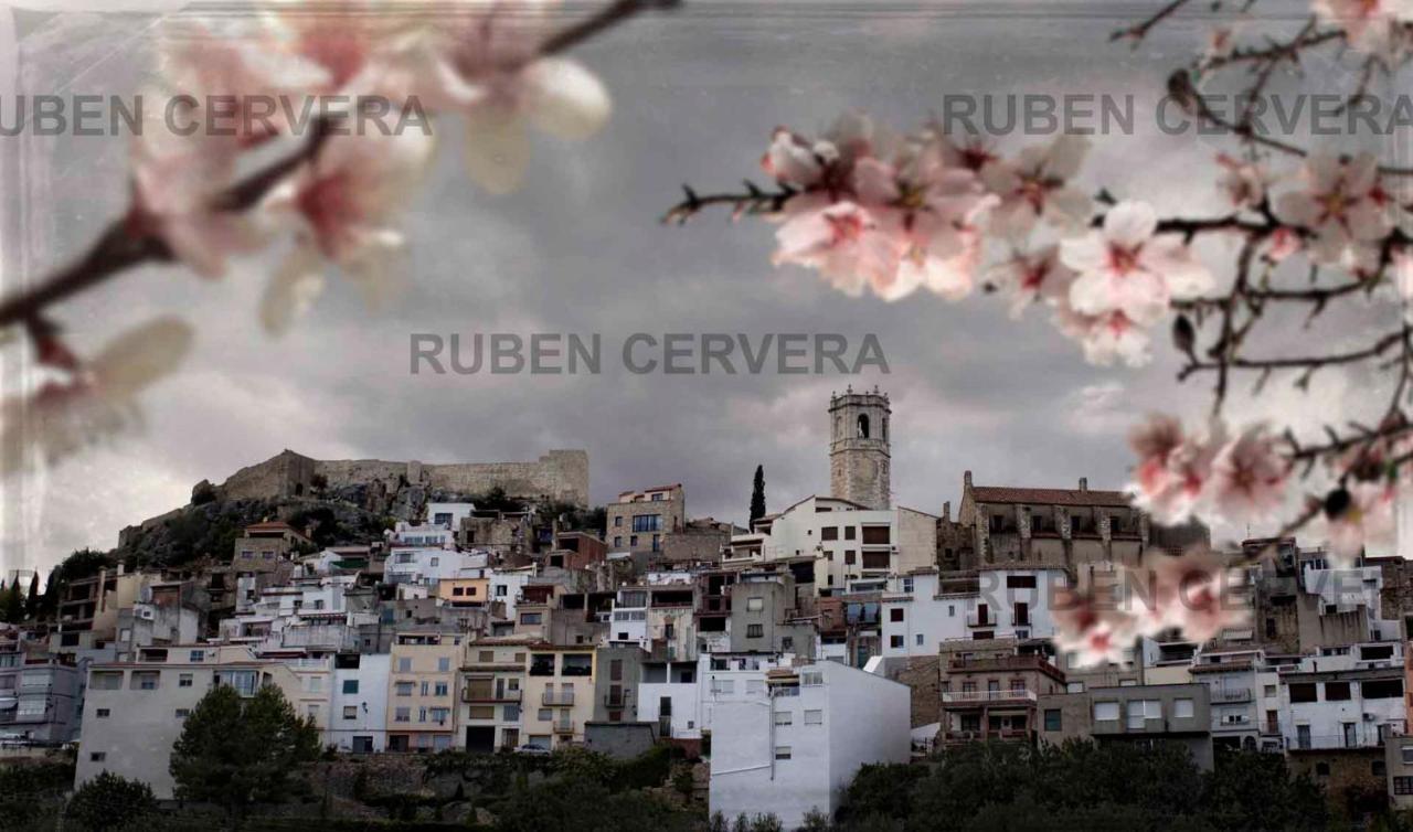 Cervera del Maestre Habitour - Casa Palmira 아파트 외부 사진